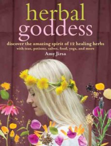 The Herbal Healing Powers of Wild Roses